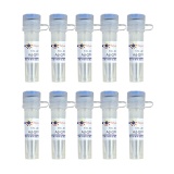 碧云天 Ad-GFP-p62(GFP-p62腺病毒)(C3015-10ml)