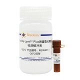 碧云天 Renilla-Lumi Plus海肾萤光素酶报告基因检测试剂盒(RG066M)