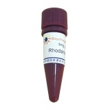 碧云天 Rhodamine 123(Rhodamine 123荧光染料)(C2007)