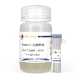 碧云天 Vimentin Mouse mAb(Vimentin小鼠单抗)(AF0318)