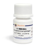 碧云天 庆大霉素硫酸盐(~600 mug Gentamicin per mg, BioReagent)(ST2398-5g)