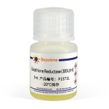 碧云天 Glutathione Reductase (Yeast, Recombinant)(酵母重组谷胱甘肽还原酶)(P2372L)