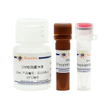 碧云天 Phosphate Sensor Assay Kit (磷酸根荧光检测试剂盒)(S0192M)