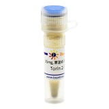 碧云天 Torin 2 (mTOR抑制剂)(SC0321-25mg)