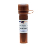 碧云天 Calcein AM (钙黄绿素AM)(C2012-0.5ml)