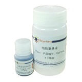 碧云天 ABT-263 (Navitoclax) (Bcl-2抑制剂)(SC0011-25mg)