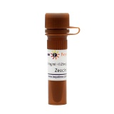 碧云天 Zeocin (博莱霉素)(ST1450-0.25ml)