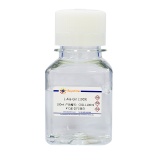 碧云天 L-Ala-Gln (100X)(L-丙胺酰-谷氨酰胺)(C0211-100ml)