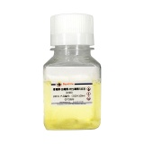 碧云天 青霉素-链霉素-两性霉素B溶液(100X)(C0224-100ml)