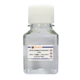 碧云天 MEM Non-Essential Amino Acids Solution (100X)(MEM非必需氨基酸溶液(100X))(C0332-100ml)