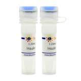 碧云天 Insulin(胰岛素)(P3375-100IU)