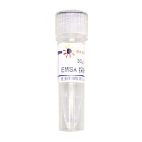 碧云天 EMSA探针－HIF-1α (10μM)(GS032A)