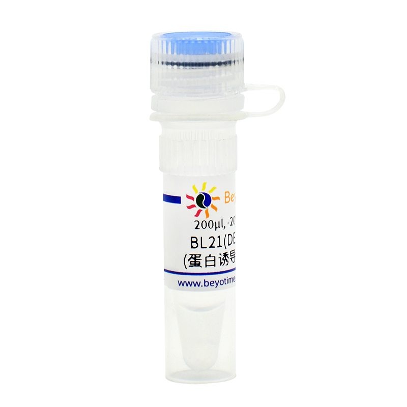 碧云天BL21(DE3)甘油菌(蛋白诱导表达菌株)(D0337)_常规试剂、生化试剂_ 