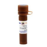 碧云天 D-Luciferin potassium salt (D-萤光素钾盐)(ST196-500mg)