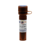 碧云天 D-Luciferin potassium salt (High Purity)（高纯度D-萤光素钾盐）(ST198-100mg)