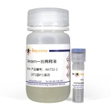 碧云天 HSP90抗体(小鼠单抗)(AH732)