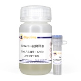 碧云天 SQSTM1/p62 Mouse Monoclonal Antibody(SQSTM1/p62小鼠单抗)(AF0279)