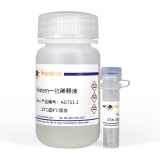 碧云天 GSK-3β抗体(兔单抗)(AG751)