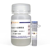 碧云天 Histone H2B抗体(小鼠单抗)(AH426)