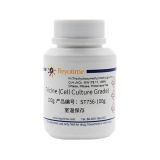 碧云天 Tricine (Cell Culture Grade)(三(羟甲基)甲基甘氨酸，细胞培养级)(ST756-100g)