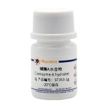 碧云天 辅酶A水合物(Coenzyme A hydrate)(ST353-1g)