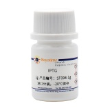 碧云天 IPTG(异丙基-β-D-硫代半乳糖苷)(ST098-1g)