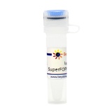 碧云天 SuperFOPFlash-CP (超灵敏快速降解型报告基因质粒)(D2508-1μg)