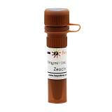 碧云天 Zeocin (博莱霉素)(ST1450-1ml)