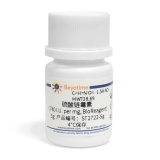 碧云天 硫酸链霉素(≥720 I.U. per mg, BioReagent)(ST2722-5g)