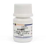 碧云天 两性霉素B (>750µg/mg, BioReagent)(ST2182-1g)