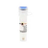 碧云天 Mocetinostat (HDAC抑制剂)(SD1146-5mg)