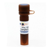 碧云天 Camptothecin (Topoisomerase抑制剂)(SC0141-25mg)