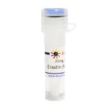 碧云天 Erastin (Ferroptosis诱导剂)(SC0224-25mg)