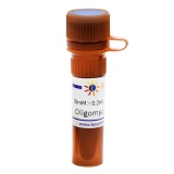 碧云天 Oligomycin A (ATPase抑制剂)(SC0366-10mM)