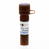 碧云天 Vincristine (Microtubule Assosiated抑制剂)(SC0254-25mg)