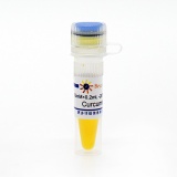 碧云天 Curcumin (COX抑制剂)(SC0299-10mM)