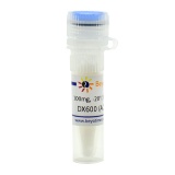 碧云天 DX600 (ACE2抑制剂)(SF1201-100mg)