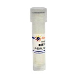 碧云天 氯氮平N-氧化物(≥98%, Reagent grade)(ST2285-5mg)