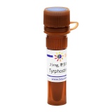 碧云天 Tyrphostin AG 1478 (EGFR抑制剂)(SC0398-25mg)