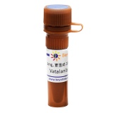 碧云天 Vatalanib (VEGFR抑制剂)(SC0402-5mg)