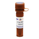 碧云天 Vatalanib (VEGFR抑制剂)(SC0402-25mg)