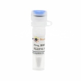 碧云天 Caspase 4 活性检测试剂盒(C1121)