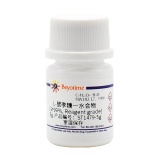 碧云天 L-鼠李糖一水合物(≥99%, Reagent grade)(ST1479-5g)