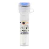 碧云天 3,3',5-三碘代-L-甲状腺原氨酸(≥98%, Reagent grade)(ST1677-5mg)