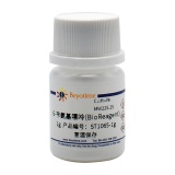 碧云天 6-苄氨基嘌呤(BioReagent)(ST1065-1g)