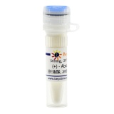 碧云天 (+) - Abscisic Acid (脱落酸, ≥98%, BioReagent)(ST1751-500mg)