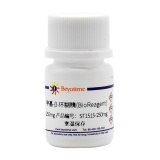 碧云天 甲基-β-环糊精(BioReagent)(ST1515-250mg)