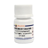 碧云天 胶原蛋白酶来源于溶组织梭菌( Type I, ≥125CDU/mg, Reagent grade)(ST2294-500mg)