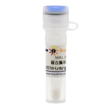 碧云天 凝血酶来源于牛血浆(40-300 NIH units/mg protein, Reagent grade)(ST1699-500U)