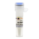 碧云天 凝血酶来源于牛血浆(40-300 NIH units/mg protein, Reagent grade)(ST1699-2KU)